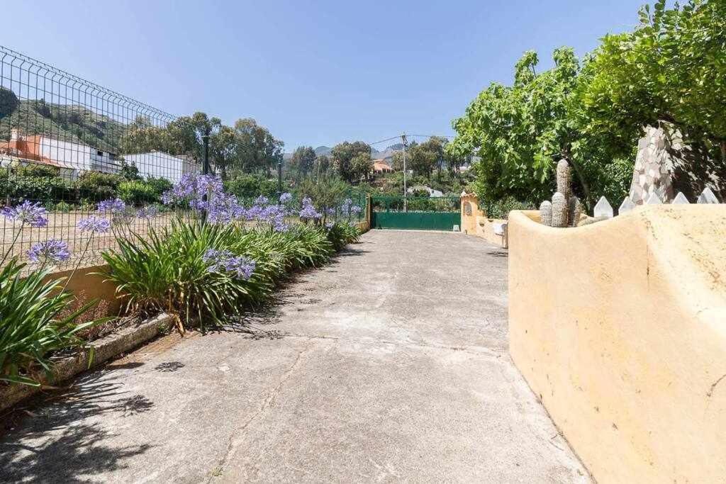 Villa Ojuelos Gran Canaria Vega de San Mateo Eksteriør billede